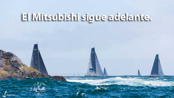 LINK A LA WEB OFICIAL
