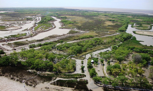 M&aacute;s Informaci&oacute;n en el TIGRE VERDE
