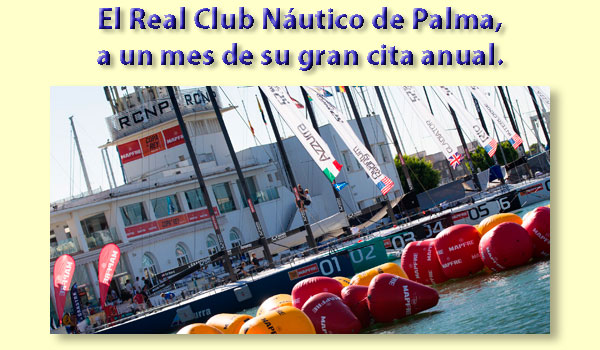 LINK A LA WEB OFICIAL