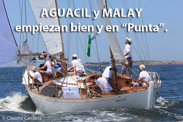LINK A LA WEB OFICIAL