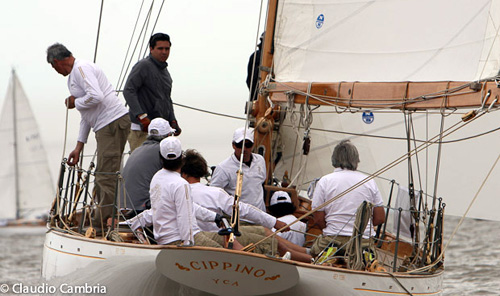Todas las fotos con un click en la web oficial