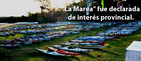 MAS IINFORMACION